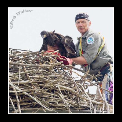 Mr. Nye Displays One Of The Eaglets For Us To See