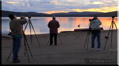 Photographers On The Beach At Lake Of Two Rivers