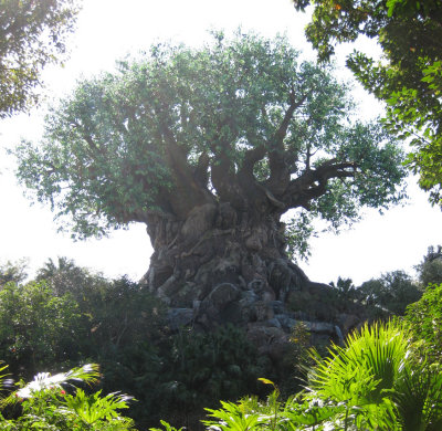 disney32.jpg