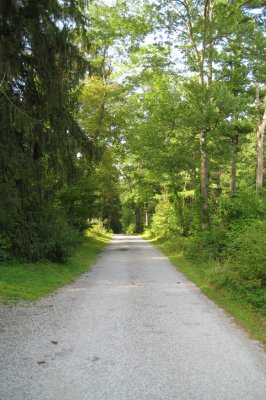 camping_trip_08
