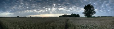 pano (summer)
