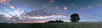 pano (morning in summer)