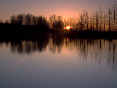 morning light