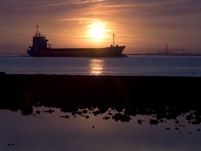 eveninglight