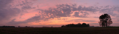 pano (morning in autumn)