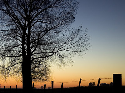 morning in autumn