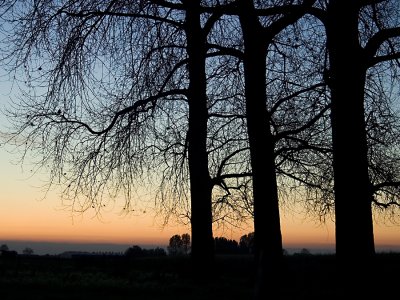 morning in autumn