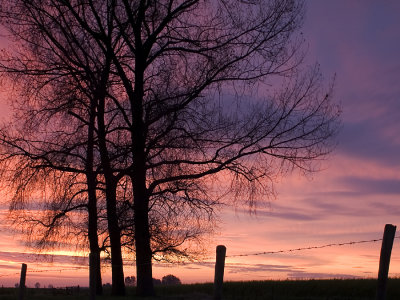 morning in autumn