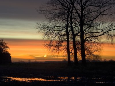 cold morning