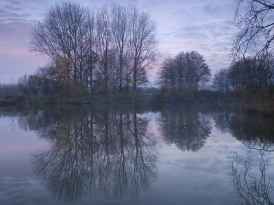 mirror