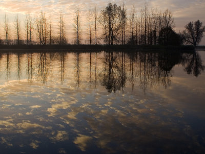 mirror