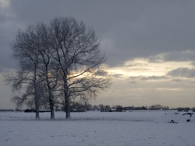 winter