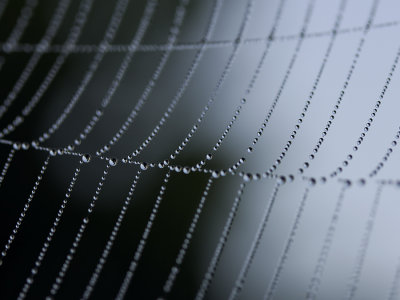 drops