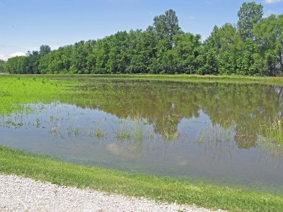 Along Hwy 57 South