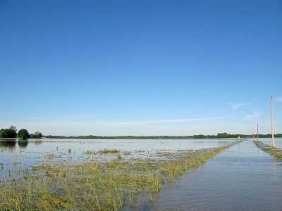 Flooded Corn/Wheat Fields
