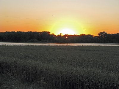 Sunset over Destroyed Fields