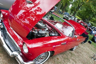 Red Thunderbird