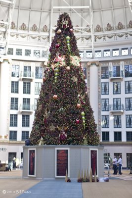 Christmas in West Baden Dome