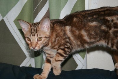 2010-08-08Sweet girl
