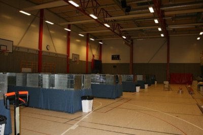 Some of the show hall...the building have started