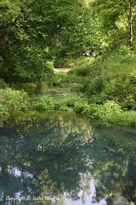 montauk_mo_state_park_june_10_20