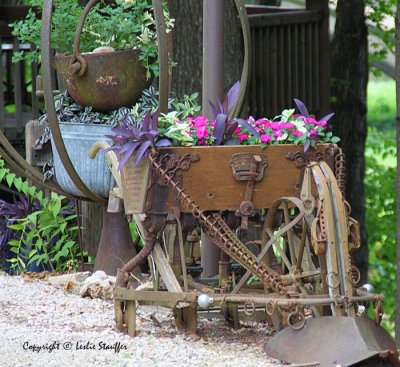 alley_springs_mo