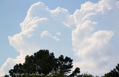 IMG_0830.JPG
