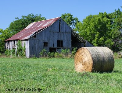IMG_1054.JPG