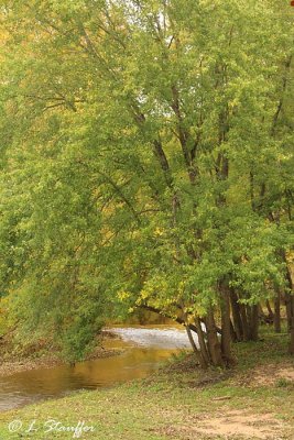 Big Piney River