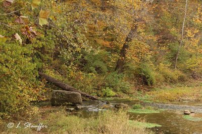 Boiling Springs, feeds into the Big Piney River. Usually the water is not this low and you don't get this view of the spring.