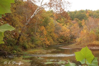 Boiling Spring, Big Piney River