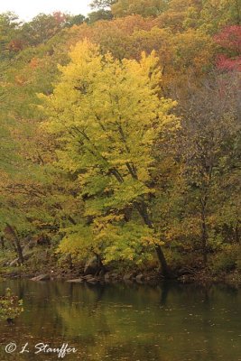 Big Piney River