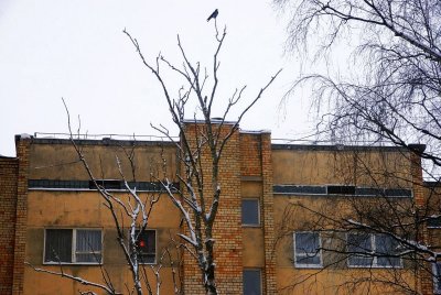 25.01.2011