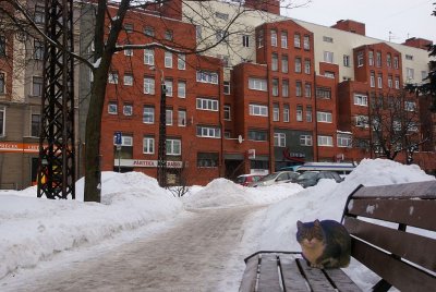 27.01.2011