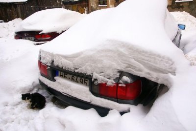 28.01.2011