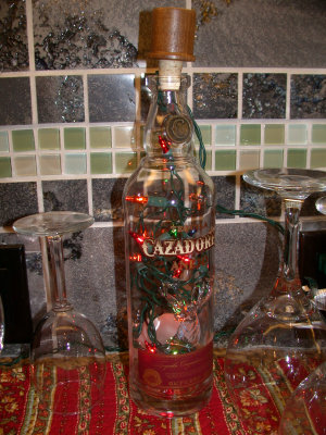 DSCN9548.jpg