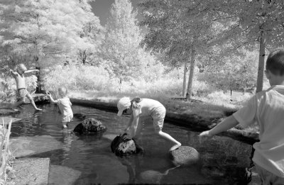 At play Morton Arboretum