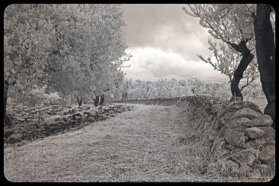 Road to a Dream