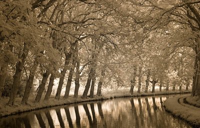 Bend in the Canal