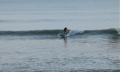 IMG_2441 2.JPG
