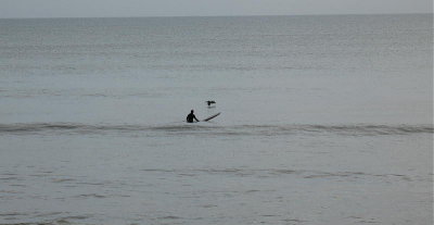 IMG_2467 2.JPG