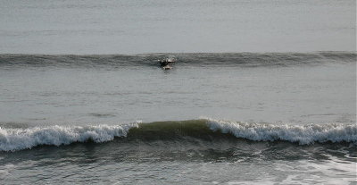 IMG_2468 2.JPG