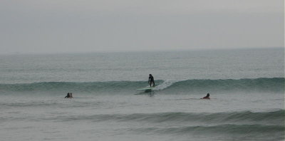 IMG_0519 2.JPG