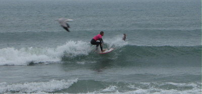 IMG_0533 2.JPG