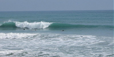 IMG_0754 2.JPG
