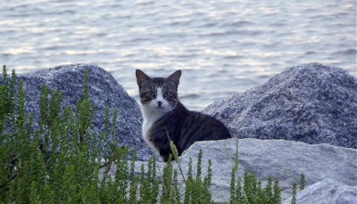 DSCN2683 2.jpg