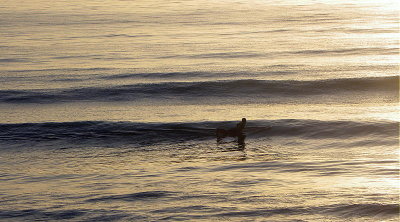 DSCN3504 2.JPG