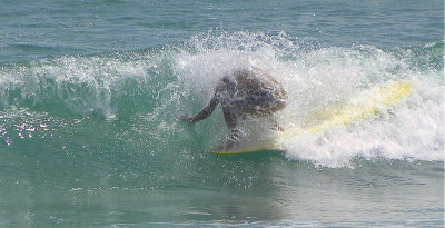 DSCN4235 2.JPG
