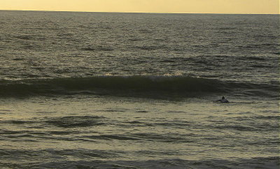 DSCN4603 2.JPG
