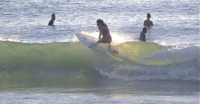DSCN8509 2.JPG